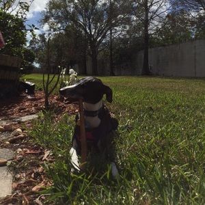 Meet your Posher, Meghan